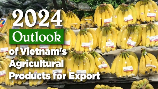 Vietnamese agricultural products - strategic source of supply for global supermarkets and corporations